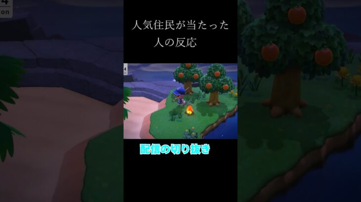 【切り抜き】あつ森で人気住民が当たったやつの反応w　#shorts