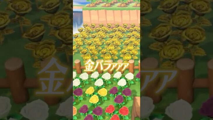 【あつ森】リスナーの島に行ったらすごすぎたw #shorts #あつ森 #vtuber