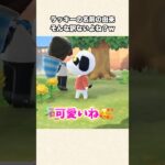 【あつ森】そんな訳ないよね？ラッキーの名前の由来w【あつまれどうぶつの森】#shorts #あつ森