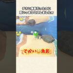 【あつ森】めっちゃミス！激レア魚影を逃した瞬間w【あつまれどうぶつの森】#shorts #あつ森