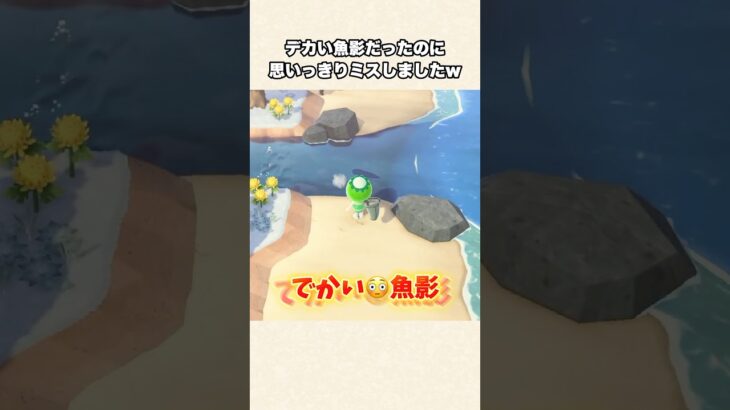 【あつ森】めっちゃミス！激レア魚影を逃した瞬間w【あつまれどうぶつの森】#shorts #あつ森