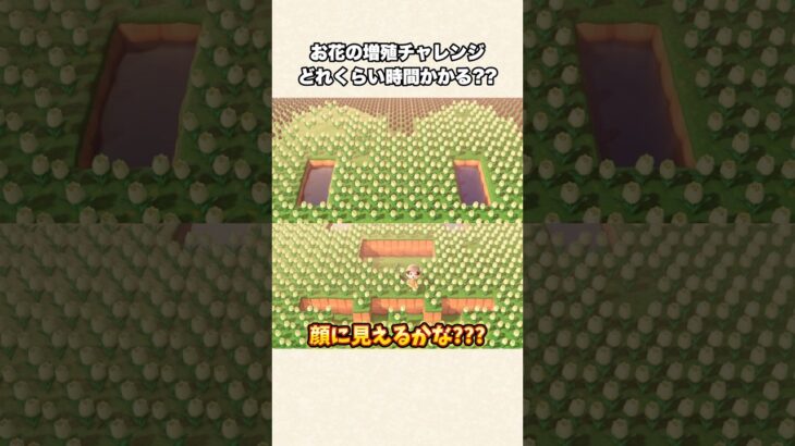 【あつ森】完成後の景色が『何事！？』すぎる件についてw【あつまれどうぶつの森】#shorts #あつ森