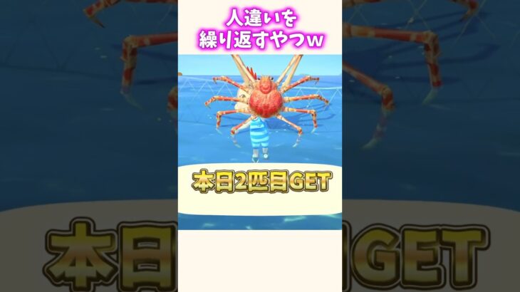 タカアシガニちょ待てよww #あつ森