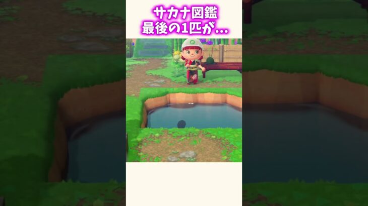 企画を壊しまくる配信者ww #あつ森