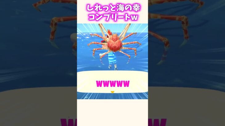 海の幸コンプ耐久した結果ww#あつ森