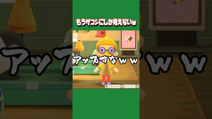 【あつ森ショート】ザコシショウ爆誕www #あつ森 #あつまれどうぶつの森 #animalclossing #ゲーム配信 #しゅまのゲーム帳