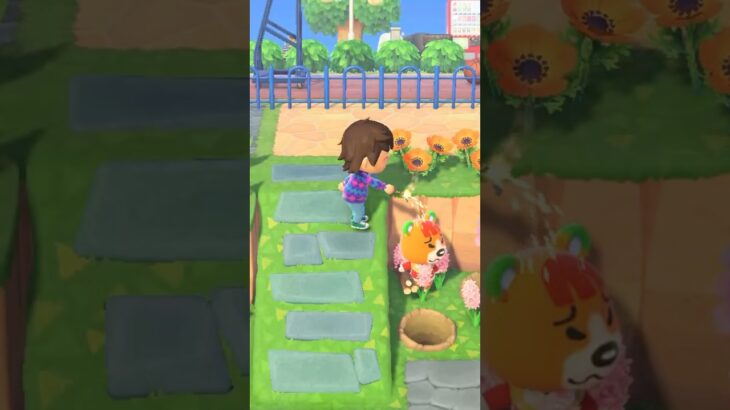 【あつ森】きんぞうに花火を当ててみたwww #shorts #あつ森