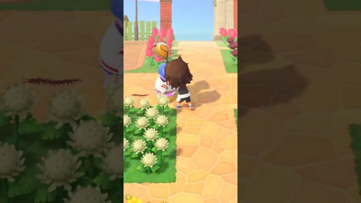 【あつ森】観光客を網で叩きまくっていた男に天罰がwww #shorts #あつ森