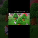 ここまで語るヤツいる？wwww #あつまれどうぶつの森 #あつ森 #実況 #実況プレイ #雑談 #おすすめにのりたい #切り抜き #チャンネル登録お願いします