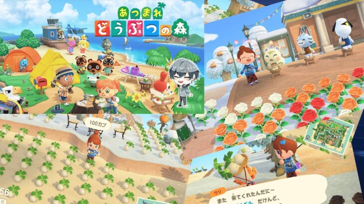 【あつ森】　サンリオコラボアイテム集めたい。。。　　マイルも貯めたいので日付を変えながら進めます。。。きゃらめるまきあー島＃020