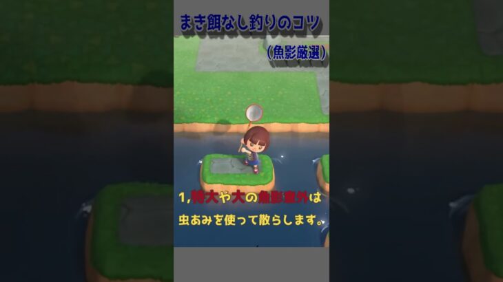 🔵【あつ森】1分でわかる まき餌なしでレア魚を乱獲するコツ｜ドラドもピラルクもアロワナも釣れる！｜#あつ森 #小技