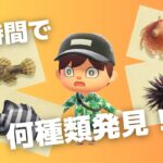 【あつ森】1時間で未登録生物を大捜索！まさかのハプニング連発！？