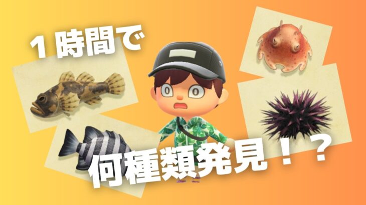 【あつ森】1時間で未登録生物を大捜索！まさかのハプニング連発！？