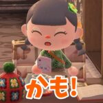 【あつ森】お客様1名お持ち帰り１丁ー！！ #shorts #あつ森 #あつまれどうぶつの森