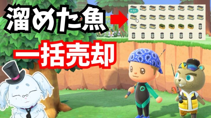 【あつ森】お魚1.5倍買取Day！借金完済までのドキュメンタリー #9 #あつ森 #あつまれどうぶつの森   #vtuber