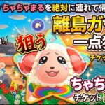 【あつ森】ちゃちゃまる、絶対にお迎えする！離島ガチャ開始！【100連？/ライブ】
