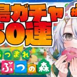 あつまれどうぶつの森 #115┊離島ガチャ50連！台風のしんどさを忘れよう！狙ってる島民は9キャラ！さすがに1人くらい出るかな！？【猫百合イッサ／StellarRealm】