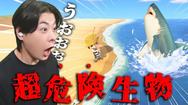 サメだぁぁぁあああああ…＃16【あつまれ どうぶつの森】