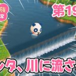 【あつ森アニメ】パンダ家族の日常 第199話「パンタ、川に流される」【2026年6月26日(金)18時～プレミア公開】