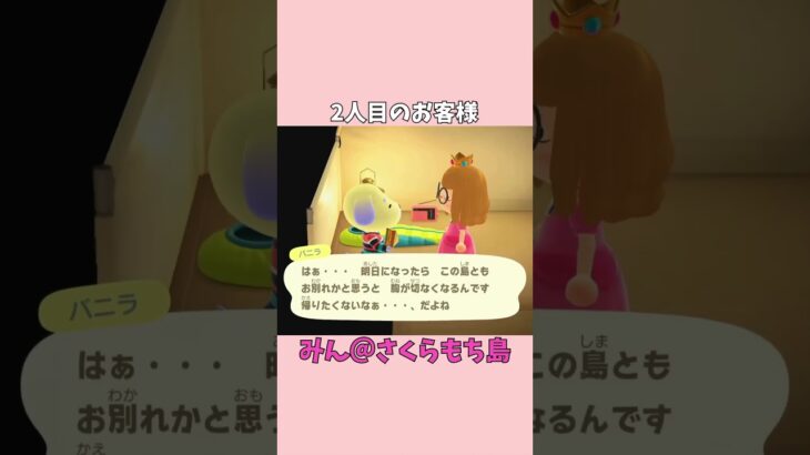 【あつ森】キャンプサイト2人目のお客様はバニラでした！✨