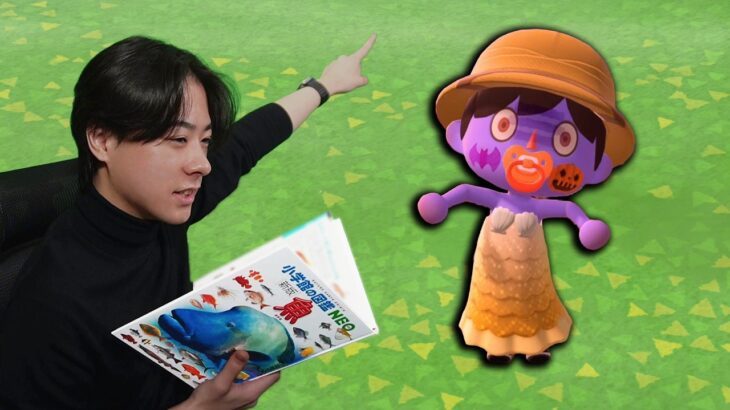 本物の図鑑で行くあつもり‼ ＃20【あつまれ どうぶつの森】