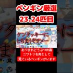 【あつ森】ペンギン厳選23.24匹目 #vtuber  #ゲーム実況