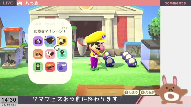 26 5/30：【あつ森】新しく建った博物館とお店見に行くぞ！５日目