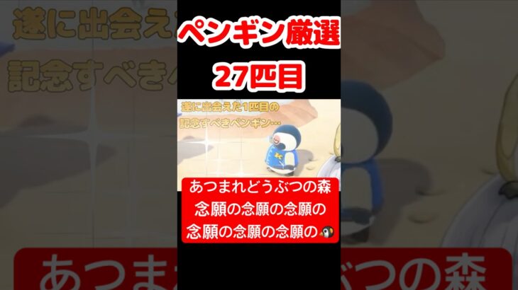 【あつ森】ペンギン厳選27匹目 #vtuber  #ゲーム実況