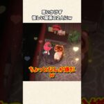 【あつ森】怪しい関係の2人！？たぬきちのせいで部屋が大変なことにw【あつまれどうぶつの森】#shorts #あつ森