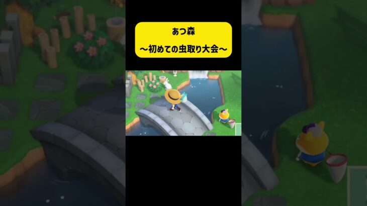 連続虫取りは3時間がギブ( ´ ▽ ` ) #あつ森