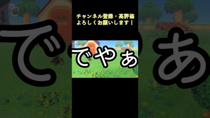 あつ森 奇跡のハチ3連発  #shorts  #あつまれどうぶつの森 #あつ森  #animalcrossing