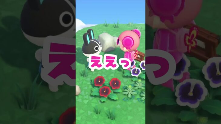 【あつ森】離島ガチャ30連！会いたいあの子に会えるかな！ #animalcrossing #あつまれどうぶつの森 #あつ森 #ゲーム実況