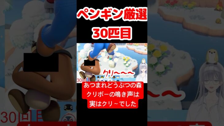 【あつ森】ペンギン厳選30匹目 #vtuber  #ゲーム実況