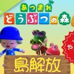 【参加型 | 30分だけ島解放】失礼しました。あつ森と出てしまいました。#24（あつまれ どうぶつの森）