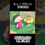 【あつ森3】407人写真コンプできる？できない？1位は誰だ！！