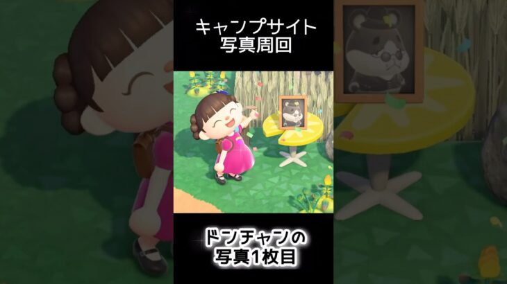 【あつ森3】407人写真コンプできる？できない？1位は誰だ！！