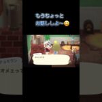 あつ森　#359　まったりしていきませんか？🐯