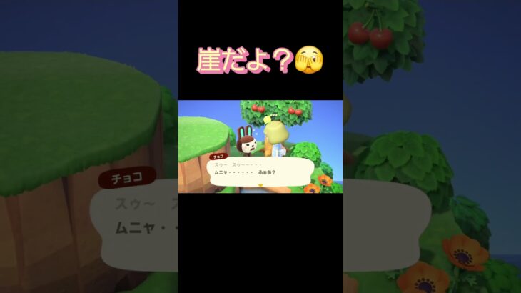 あつ森　#366　まったりしていきませんか？🐰💤