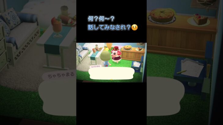 あつ森　#367　まったりしていきませんか？🐏
