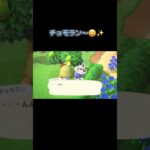 あつ森　#370　まったりしていきませんか？🐯💤