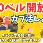 #379【あつ森】カブ活☆660ベルで開放中！あつまれどうぶつの森　参加型配信