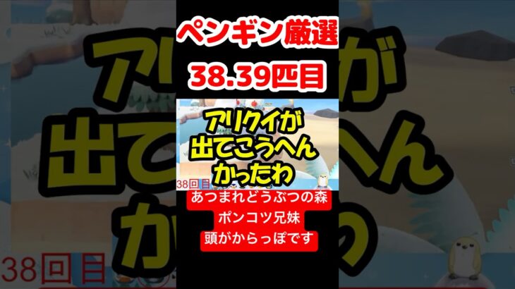 【あつ森】ペンギン厳選38.39匹目 #vtuber  #ゲーム実況