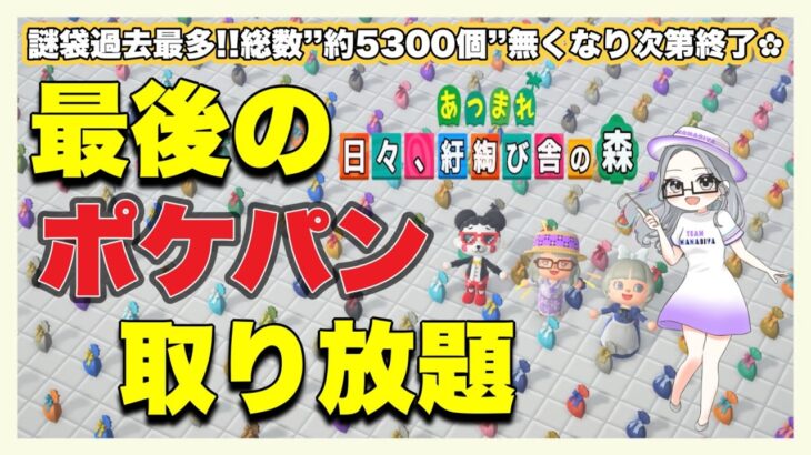 【概要欄必読】【あつ森】381時間目：過去最多*約5300個*無くなり次第終了！最後のポケパン取り放題🌸【初見さん歓迎】