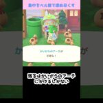 【あつ森】≪島中を💰≫　4段階📷