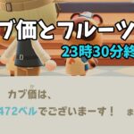 【あつ森】カブ価472ベルと全種フルーツを配布！まったりカブ活初心者歓迎