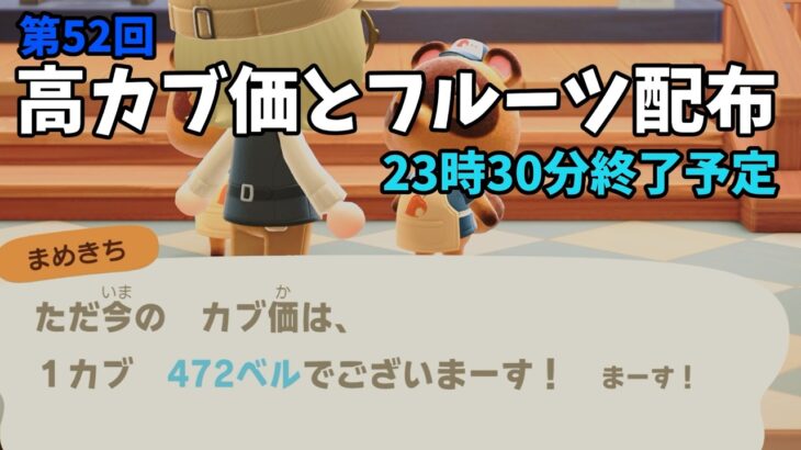 【あつ森】カブ価472ベルと全種フルーツを配布！まったりカブ活初心者歓迎