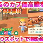 【あつ森 非実況 参加型】カブ価492ベルでベル活放題！ 撮影会もおk！#15（0:30ごろまで！）