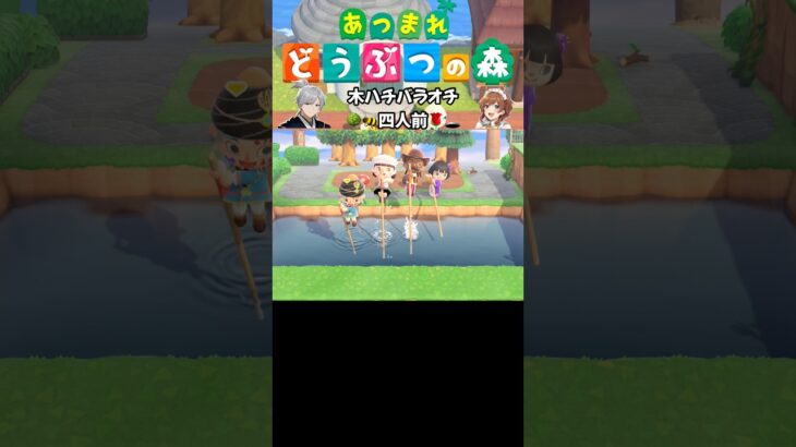 【あつ森】4人ver木ハチバラオチ四人前 #acnh #animalcrossing #あつ森 #どうぶつの森 #あつまれどうぶつの森 #Shorts