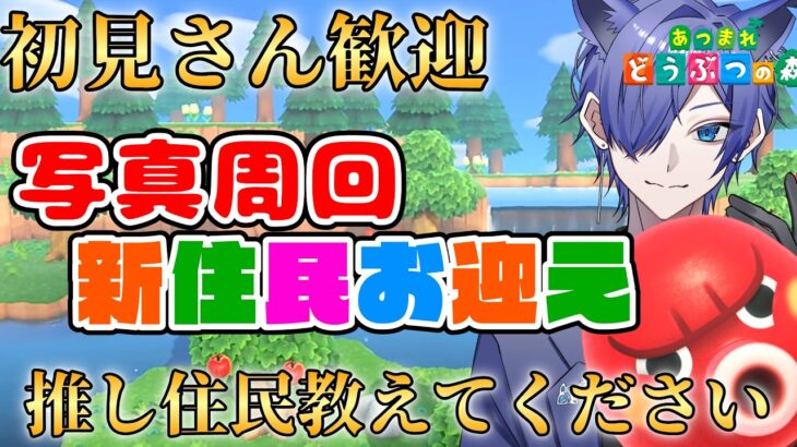 【#あつ森配信  】5分だけお話しましょ！新住民を迎えたい写真周回生活配信！ #212 #あつまれどうぶつの森  #雑談配信