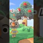 【あつ森】離島ガチャパート5！君なんかみたことあるよ‥？ #animalcrossing #あつ森 #あつまれどうぶつの森 #ゲーム実況 #あつ森すきな人と繋がりたい #ゲーム